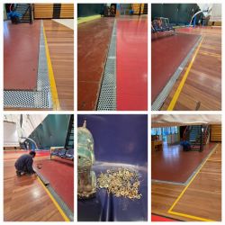 allagistasifwneiatenta_result